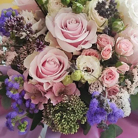 Agape * Vrnjačka Banja