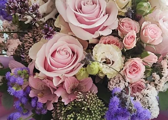 Agape * Vrnjačka Banja